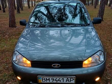 Серый ВАЗ 1119 Калина, объемом двигателя 1.6 л и пробегом 116 тыс. км за 3500 $, фото 1 на Automoto.ua