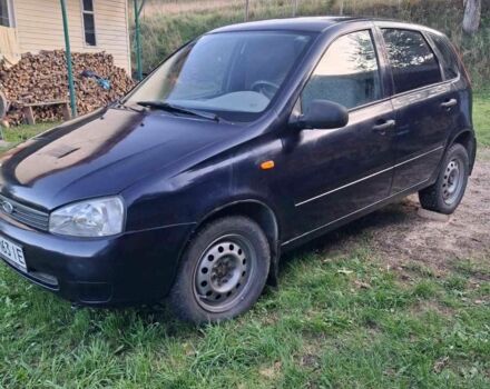 Синий ВАЗ 1119 Калина, объемом двигателя 1.4 л и пробегом 130 тыс. км за 1591 $, фото 4 на Automoto.ua