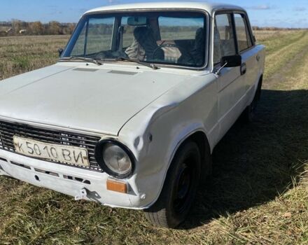 ВАЗ 2101 1977 в Виннице на Automoto.ua Белый ВАЗ 2101, объемом двигателя 1.3 л и пробегом 1000 тыс. км за 431 $, фото 5 на Automoto.ua