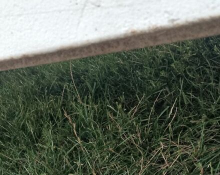 ВАЗ 2101 1979 у Ковель на Automoto.ua Білий ВАЗ 2101, об'ємом двигуна 1.3 л та пробігом 80 тис. км за 716 $, фото 4 на Automoto.ua