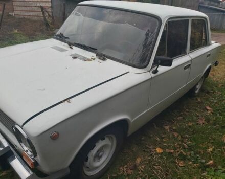 ВАЗ 2101 1980 в Недригайлове на Automoto.ua Белый ВАЗ 2101, объемом двигателя 1 л и пробегом 111 тыс. км за 350 $, фото 4 на Automoto.ua