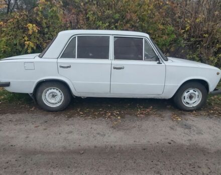 ВАЗ 2101 1980 в Недригайлове на Automoto.ua Белый ВАЗ 2101, объемом двигателя 1 л и пробегом 111 тыс. км за 350 $, фото 3 на Automoto.ua
