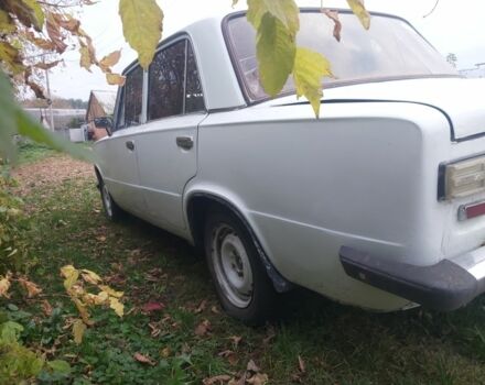 ВАЗ 2101 1980 в Недригайлове на Automoto.ua Белый ВАЗ 2101, объемом двигателя 1 л и пробегом 111 тыс. км за 350 $, фото 5 на Automoto.ua