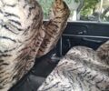 Белый ВАЗ 2101, объемом двигателя 1.5 л и пробегом 100 тыс. км за 482 $, фото 10 на Automoto.ua