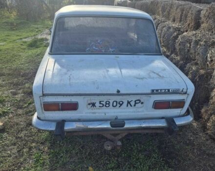 Белый ВАЗ 2101, объемом двигателя 0 л и пробегом 10 тыс. км за 310 $, фото 4 на Automoto.ua