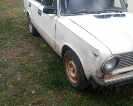 Белый ВАЗ 2101, объемом двигателя 1.3 л и пробегом 1 тыс. км за 315 $, фото 1 на Automoto.ua