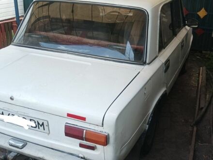 ВАЗ 2101 1976 в Сумах на Automoto.ua Белый ВАЗ 2101, объемом двигателя 1 л и пробегом 100 тыс. км за 32000 $, фото 1 на Automoto.ua