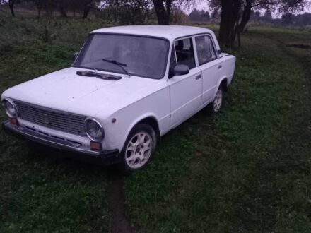ВАЗ 2101 1979 в Бродах на Automoto.ua Белый ВАЗ 2101, объемом двигателя 1.3 л и пробегом 3 тыс. км за 400 $, фото 1 на Automoto.ua