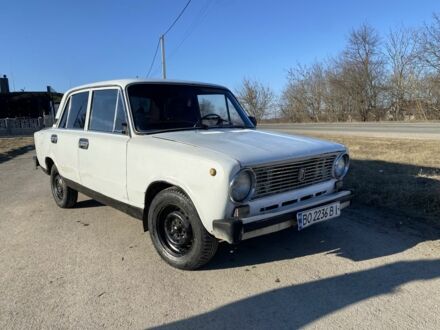 ВАЗ 2101 1981 в Тернополе на Automoto.ua Белый ВАЗ 2101, объемом двигателя 0 л и пробегом 56 тыс. км за 266 $, фото 1 на Automoto.ua