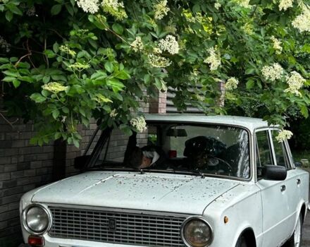 Белый ВАЗ 2101, объемом двигателя 1.3 л и пробегом 101 тыс. км за 583 $, фото 1 на Automoto.ua