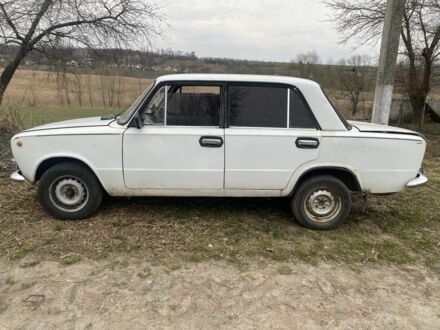 ВАЗ 2101 1984 в Звенигородка на Automoto.ua Белый ВАЗ 2101, объемом двигателя 1.3 л и пробегом 100 тыс. км за 8000 $, фото 1 на Automoto.ua