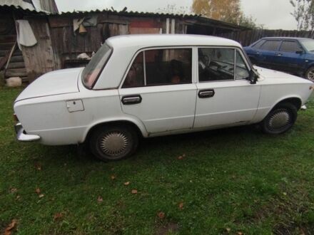 ВАЗ 2101 1985 в Шостке на Automoto.ua Белый ВАЗ 2101, объемом двигателя 0 л и пробегом 24 тыс. км за 618 $, фото 1 на Automoto.ua