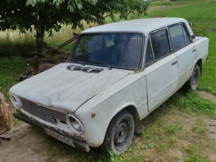 ВАЗ 2101 1986 в Коломые на Automoto.ua Белый ВАЗ 2101, объемом двигателя 1.1 л и пробегом 130 тыс. км за 175 $, фото 1 на Automoto.ua