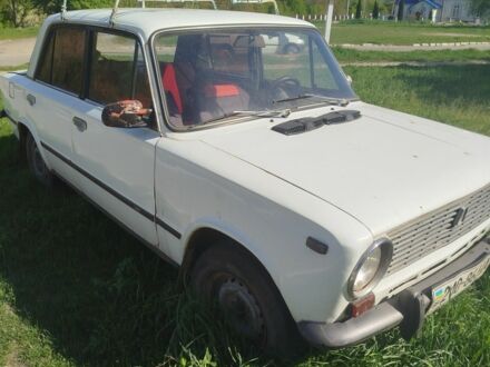 ВАЗ 2101 1998 у Славуте на Automoto.ua Білий ВАЗ 2101, об'ємом двигуна 0 л та пробігом 8 тис. км за 22000 $, фото 1 на Automoto.ua