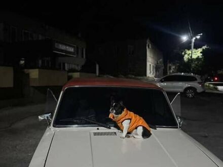 ВАЗ 2101 1972 у Харкові на Automoto.ua Бежевий ВАЗ 2101, об'ємом двигуна 0 л та пробігом 300 тис. км за 750 $, фото 1 на Automoto.ua