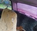 ВАЗ 2101 1989 в Тернополе на Automoto.ua Красный ВАЗ 2101, объемом двигателя 1.2 л и пробегом 30 тыс. км за 433 $, фото 4 на Automoto.ua
