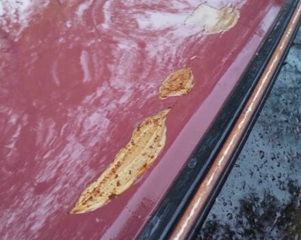 ВАЗ 2101 1972 в Шумск на Automoto.ua Красный ВАЗ 2101, объемом двигателя 1.5 л и пробегом 75 тыс. км за 262 $, фото 4 на Automoto.ua