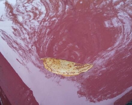 ВАЗ 2101 1972 в Шумск на Automoto.ua Красный ВАЗ 2101, объемом двигателя 1.5 л и пробегом 75 тыс. км за 262 $, фото 3 на Automoto.ua