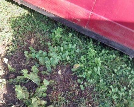 Красный ВАЗ 2101, объемом двигателя 0 л и пробегом 22 тыс. км за 385 $, фото 8 на Automoto.ua