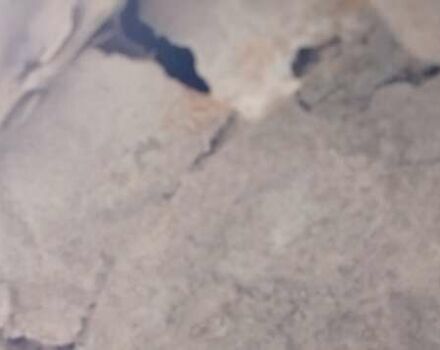 ВАЗ 2101, об'ємом двигуна 0 л та пробігом 50 тис. км за 361 $, фото 2 на Automoto.ua