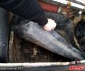 ВАЗ 2101, объемом двигателя 12 л и пробегом 200 тыс. км за 380 $, фото 3 на Automoto.ua