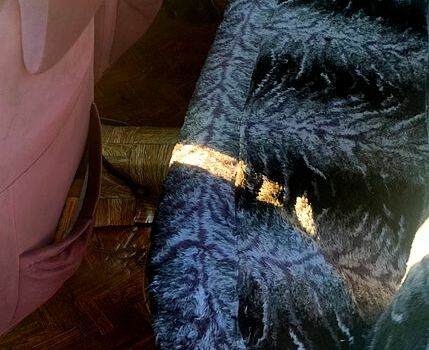 ВАЗ 2101, объемом двигателя 1.3 л и пробегом 0 тыс. км за 450 $, фото 5 на Automoto.ua