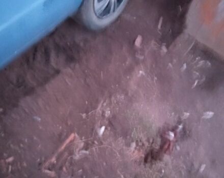 Синій ВАЗ 2101, об'ємом двигуна 0 л та пробігом 467 тис. км за 10000 $, фото 3 на Automoto.ua