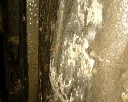 Зеленый ВАЗ 2101, объемом двигателя 1.1 л и пробегом 11 тыс. км за 600 $, фото 10 на Automoto.ua