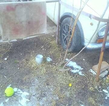 Бежевый ВАЗ 2102, объемом двигателя 1.3 л и пробегом 77 тыс. км за 680 $, фото 7 на Automoto.ua