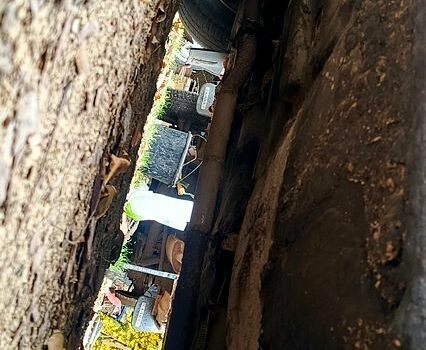 Красный ВАЗ 2102, объемом двигателя 1.6 л и пробегом 122 тыс. км за 475 $, фото 5 на Automoto.ua