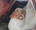 Червоний ВАЗ 2103, об'ємом двигуна 1.5 л та пробігом 60 тис. км за 409 $, фото 5 на Automoto.ua