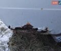 Серый ВАЗ 2103, объемом двигателя 1.45 л и пробегом 110 тыс. км за 350 $, фото 8 на Automoto.ua