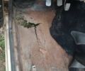 Белый ВАЗ 2104, объемом двигателя 1.5 л и пробегом 148 тыс. км за 20000 $, фото 5 на Automoto.ua