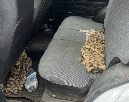 Белый ВАЗ 2104, объемом двигателя 1.45 л и пробегом 105 тыс. км за 850 $, фото 4 на Automoto.ua