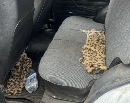 Белый ВАЗ 2104, объемом двигателя 1.5 л и пробегом 105 тыс. км за 850 $, фото 5 на Automoto.ua