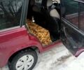 Фиолетовый ВАЗ 2104, объемом двигателя 1.5 л и пробегом 65 тыс. км за 1100 $, фото 7 на Automoto.ua