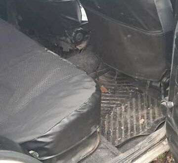 Серый ВАЗ 2104, объемом двигателя 1.57 л и пробегом 71 тыс. км за 1534 $, фото 1 на Automoto.ua