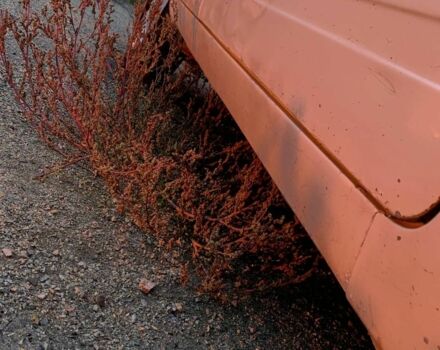 Белый ВАЗ 2105, объемом двигателя 1.5 л и пробегом 100 тыс. км за 597 $, фото 5 на Automoto.ua