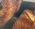 Белый ВАЗ 2105, объемом двигателя 1.3 л и пробегом 2 тыс. км за 1100 $, фото 2 на Automoto.ua