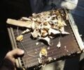Червоний ВАЗ 2105, об'ємом двигуна 1.3 л та пробігом 40 тис. км за 2000 $, фото 9 на Automoto.ua