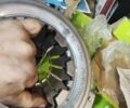 Червоний ВАЗ 2105, об'ємом двигуна 1.3 л та пробігом 40 тис. км за 2000 $, фото 13 на Automoto.ua