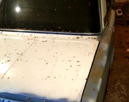 Белый ВАЗ 2106, объемом двигателя 1.6 л и пробегом 0 тыс. км за 500 $, фото 3 на Automoto.ua