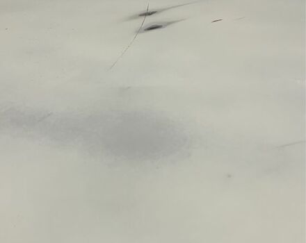 Белый ВАЗ 2106, объемом двигателя 0 л и пробегом 54 тыс. км за 1500 $, фото 13 на Automoto.ua