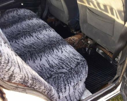 ВАЗ 2106 1987 в Оратове на Automoto.ua Белый ВАЗ 2106, объемом двигателя 0 л и пробегом 70 тыс. км за 700 $, фото 2 на Automoto.ua