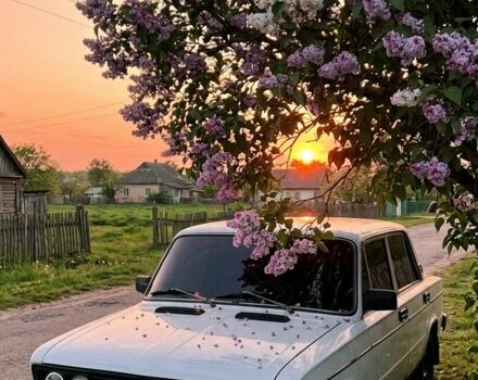 Білий ВАЗ 2106, об'ємом двигуна 0 л та пробігом 8 тис. км за 404 $, фото 1 на Automoto.ua