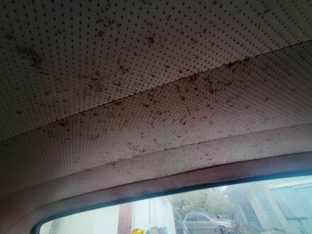 ВАЗ 2106 1989 в Луцке на Automoto.ua Белый ВАЗ 2106, объемом двигателя 1.6 л и пробегом 999 тыс. км за 350 $, фото 1 на Automoto.ua