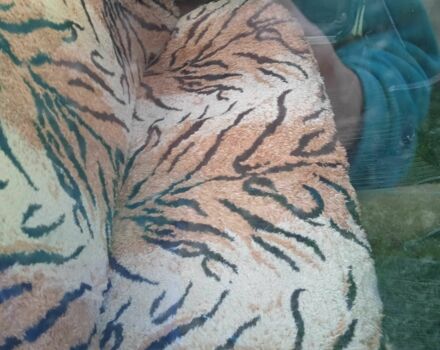 Бежевый ВАЗ 2106, объемом двигателя 1.3 л и пробегом 2 тыс. км за 300 $, фото 4 на Automoto.ua