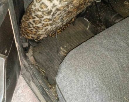 ВАЗ 2106 1988 в Днепре (Днепропетровске) на Automoto.ua Бежевый ВАЗ 2106, объемом двигателя 1.3 л и пробегом 300 тыс. км за 499 $, фото 12 на Automoto.ua