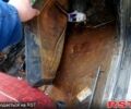 Бежевый ВАЗ 2106, объемом двигателя 1.3 л и пробегом 0 тыс. км за 360 $, фото 4 на Automoto.ua