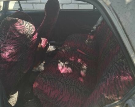 ВАЗ 2106 1992 в Черняхове на Automoto.ua Коричневый ВАЗ 2106, объемом двигателя 1.5 л и пробегом 2 тыс. км за 288 $, фото 2 на Automoto.ua